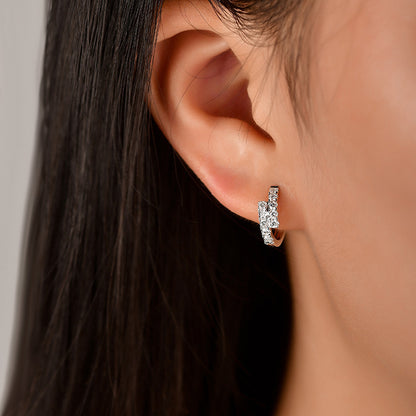 Zircons on Silver Earrings